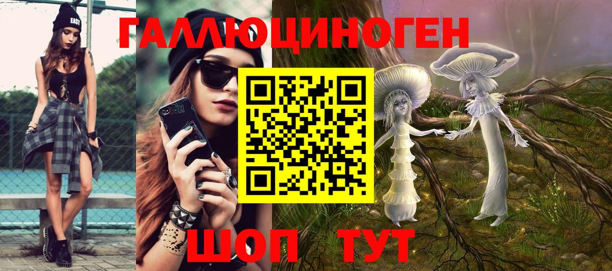 Сосновый Бор  Псилоцибиновые грибы ЛСД  Вход с VPN 