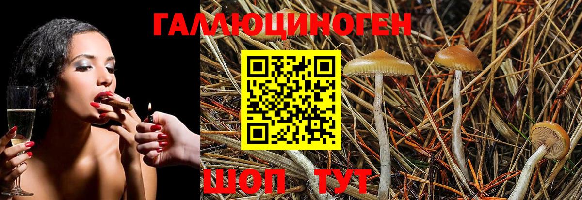 Псилоцибиновые грибы MAGIC MUSHROOMS Сосновый Бор